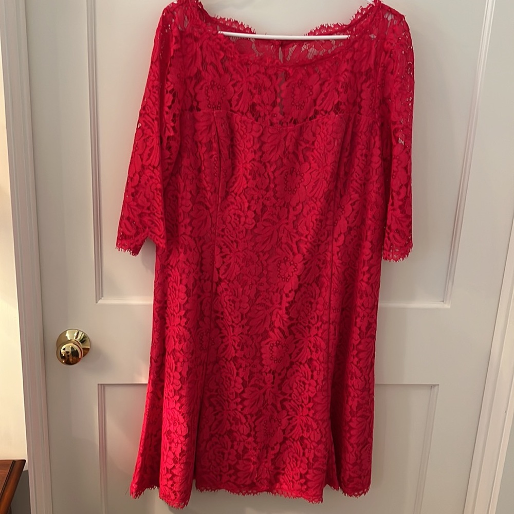 Eliza J 3/4 sleeve delicate lace dress